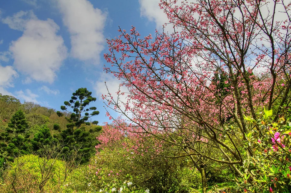 20110305-105-w960.jpg