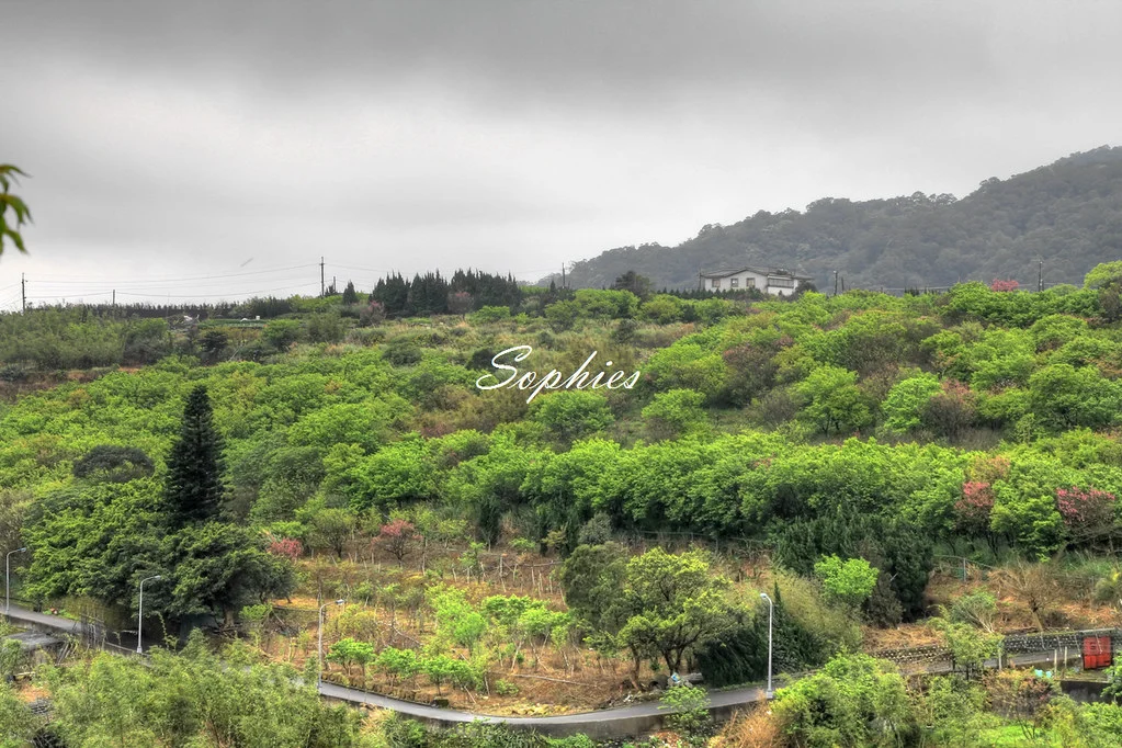 20120310-027_8_9Enhancer-w1280