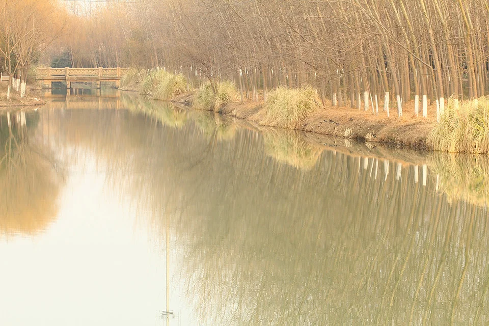 20110220-060-w960.jpg