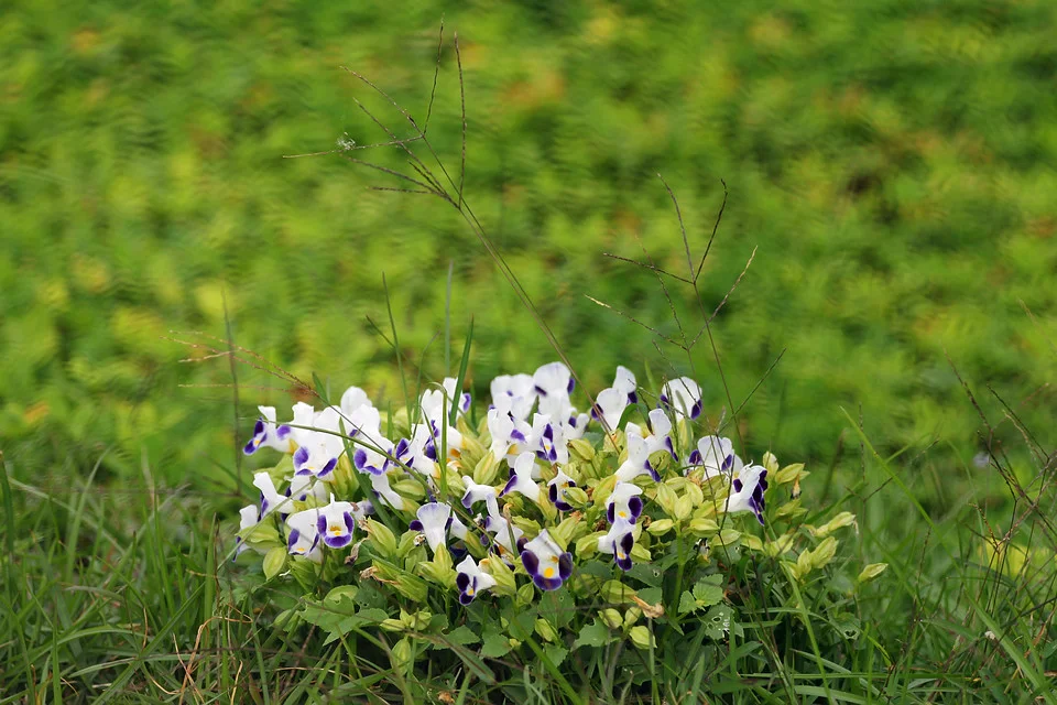 20111126-081-w960.jpg