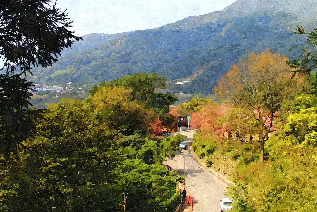 FotoSketcher - 20110305-026-w1920.jpg
