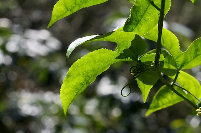 20110206-020-w960.jpg