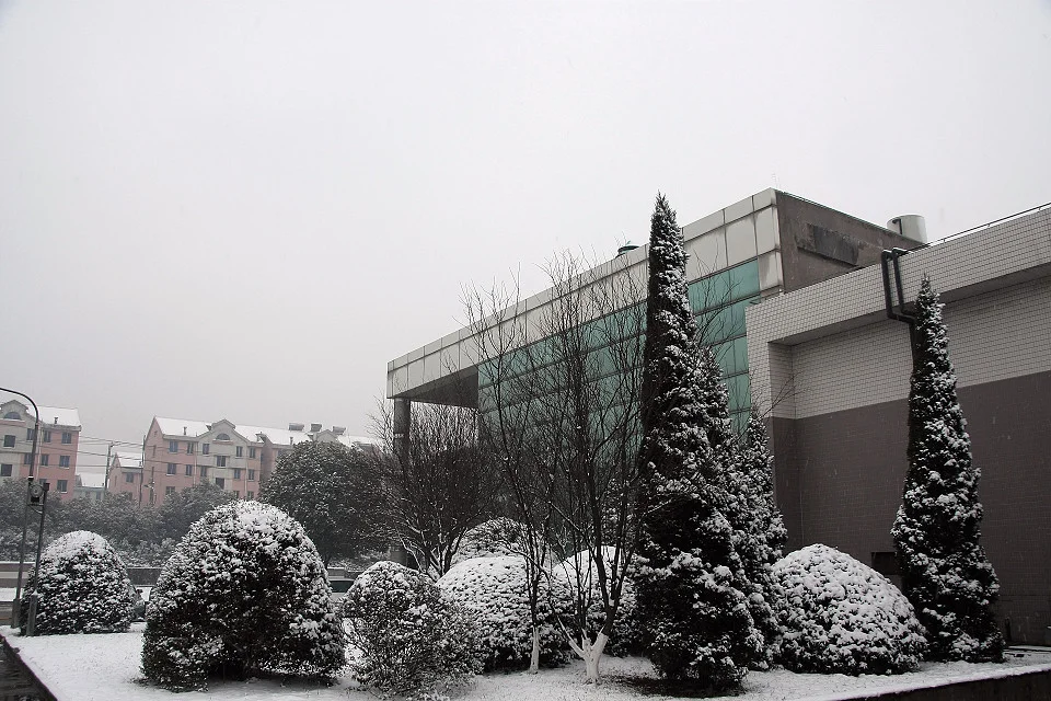 20111120-040-w960.jpg