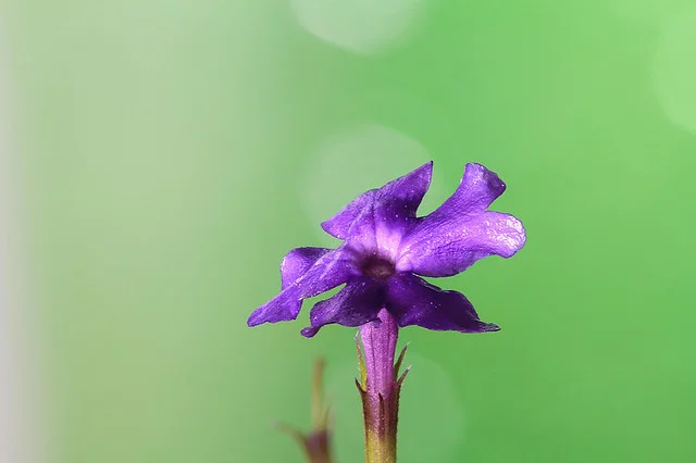 20110724-030-w960