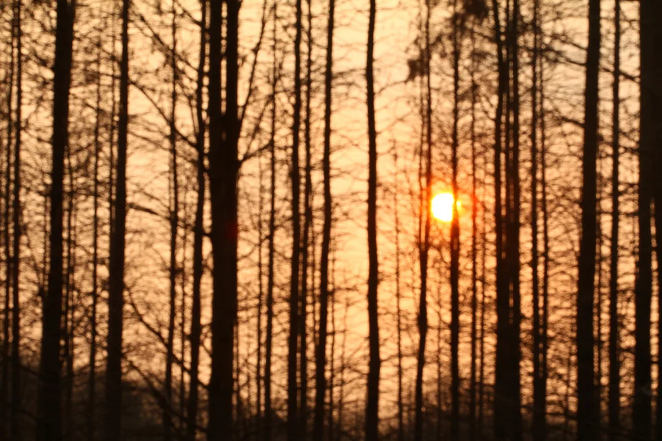 20110220-074-w960.jpg
