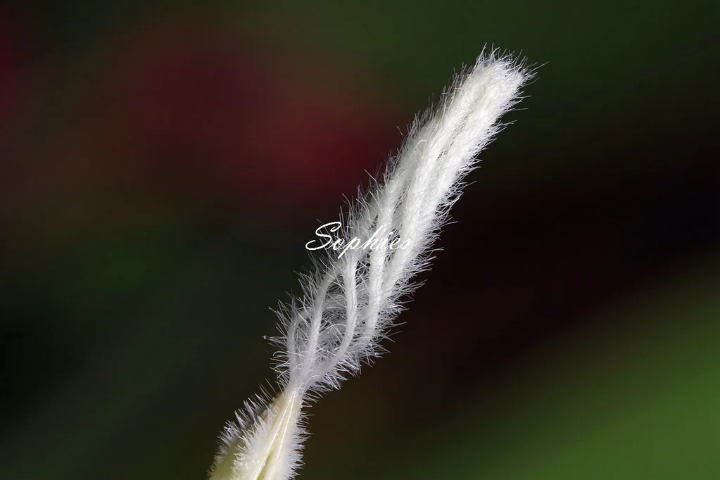 20120522-010-w1280