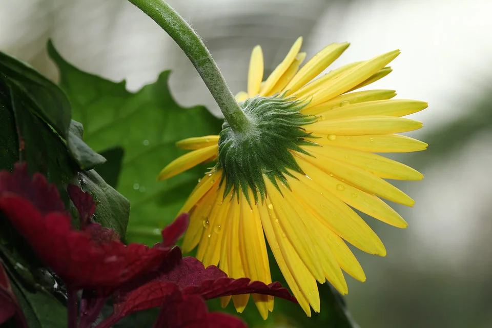 20111119-291-960.jpg