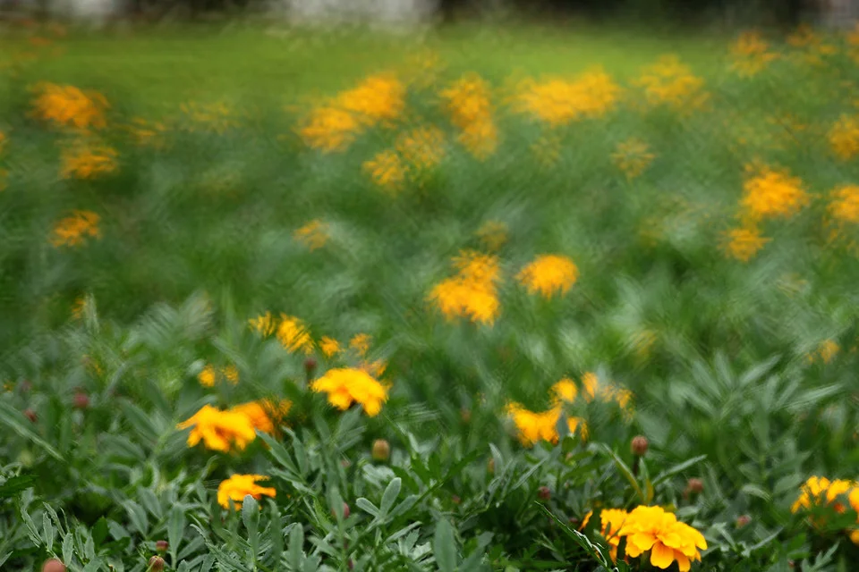 20111126-073-w960.jpg