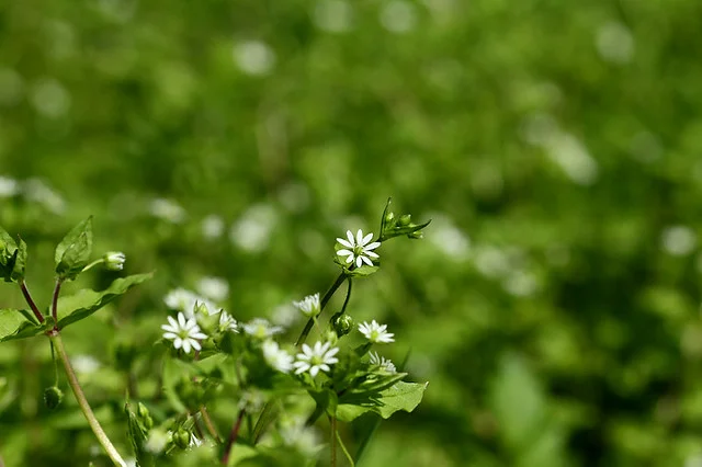 20110206-147-w960.jpg