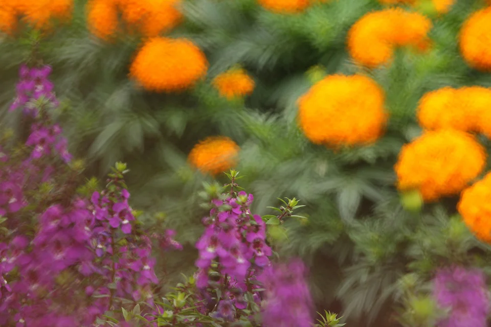 20111126-104-w960.jpg