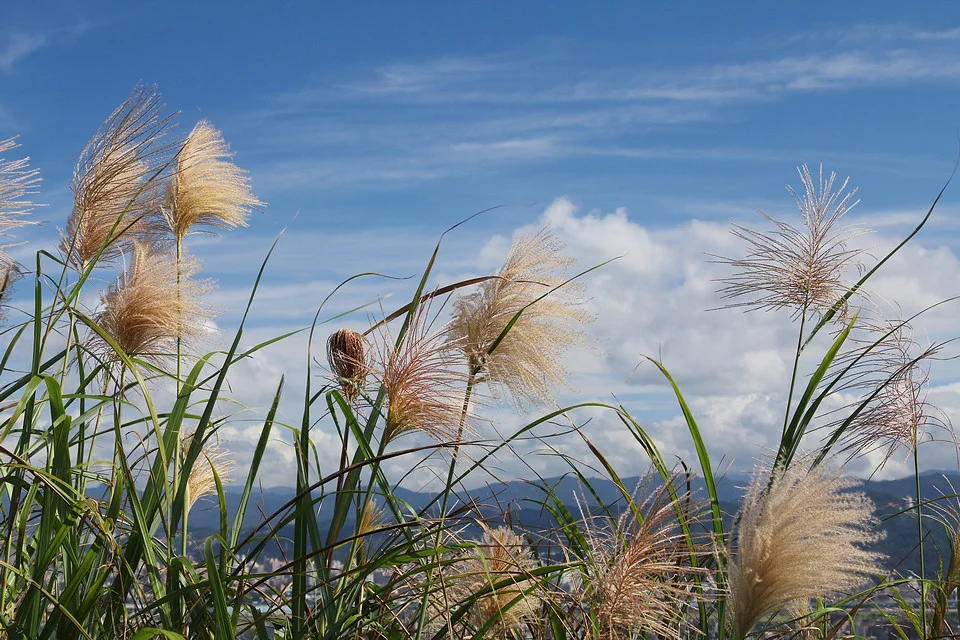 20111106-058-960.jpg