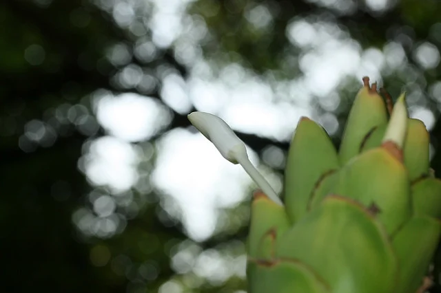 20081101-012-960