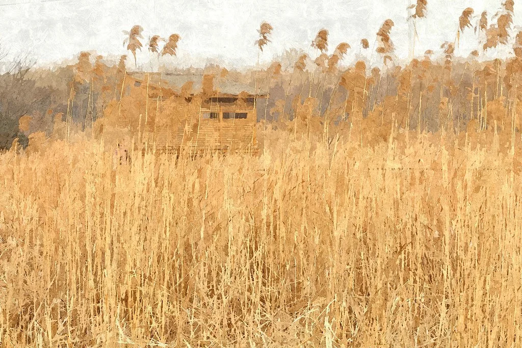 FotoSketcher - 20110220-034-w1920.jpg