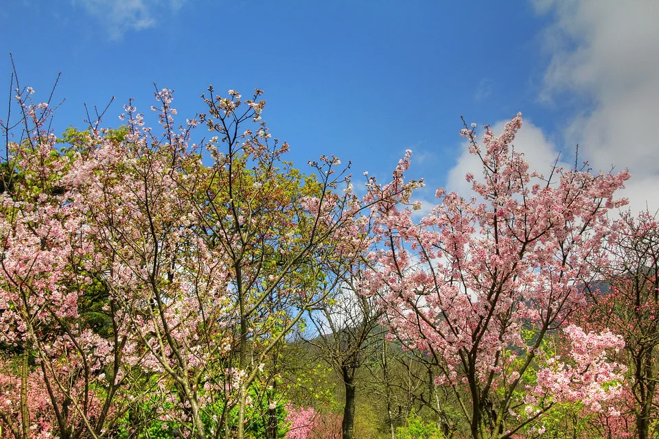 20110305-154-w960.jpg