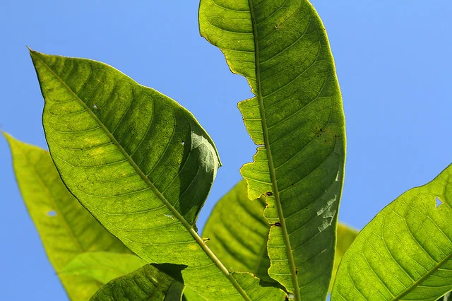20110206-109-w960.jpg
