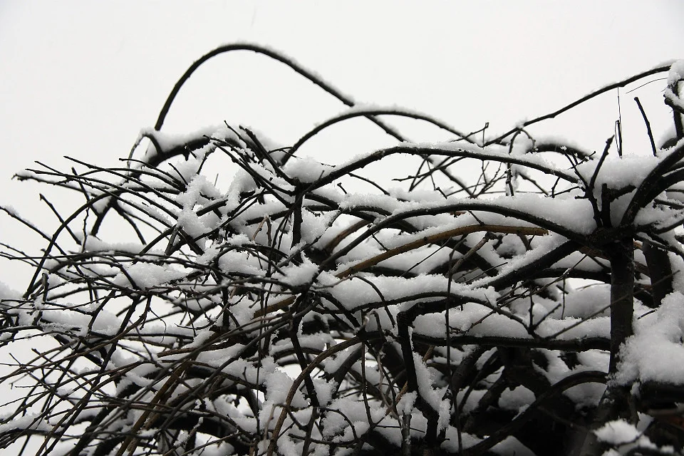 20111120-030-w960.jpg