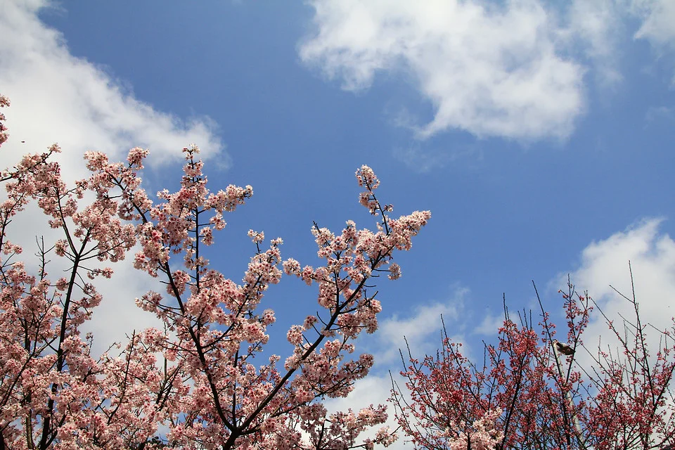 20110305-075-w960.jpg