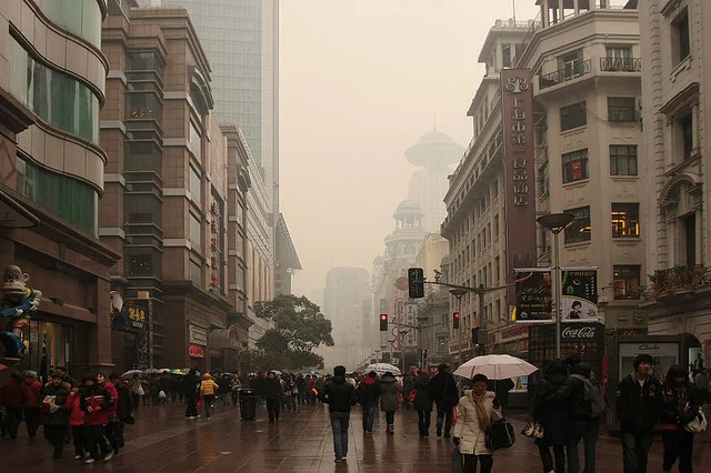 20110123-118-w960.jpg