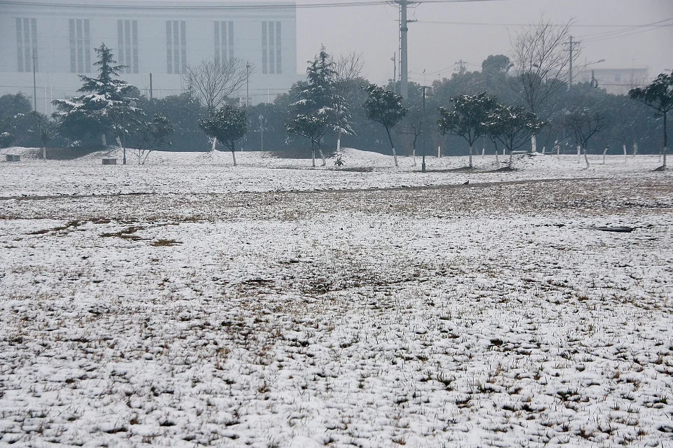 20111120-055-w960.jpg
